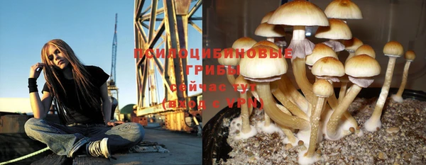 дурь Няндома