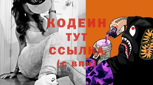 шишки Весьегонск