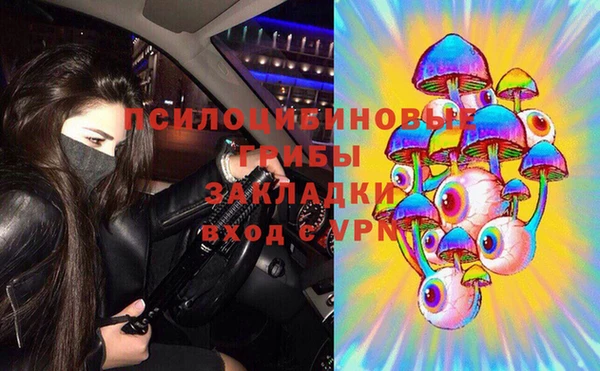 прущая мука Новодвинск