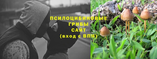 прущая мука Новодвинск