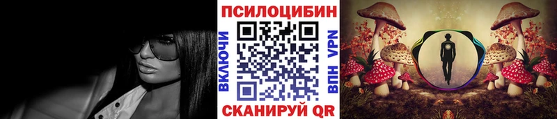 OMG ССЫЛКА  Наволоки  Галлюциногенные грибы GOLDEN TEACHER 